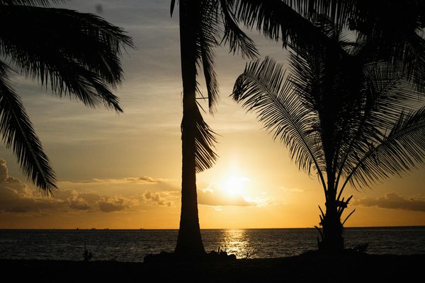 Discover budget-friendly experiences at the british library: your ultimate guide to affordable adventures in london