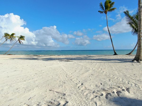 Secrets to Finding Your Ideal Holiday Rental in Bath for an Unforgettable Roman History Adventure